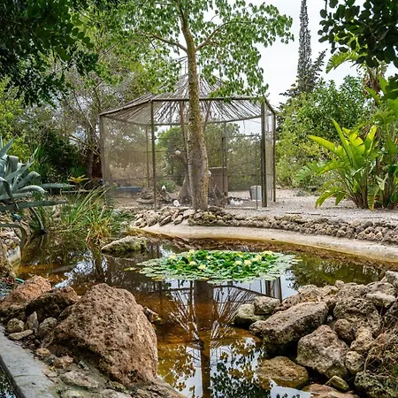 Robby's Ibiza Agroturismo *