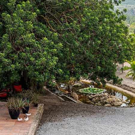Robby's Ibiza Agroturismo *